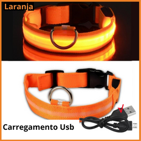 Coleira luminosa para animais de estimação