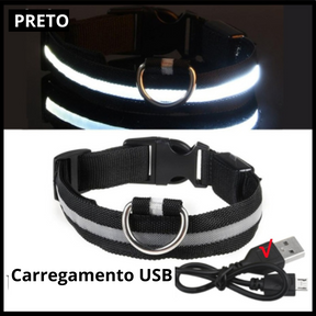 Coleira luminosa para animais de estimação