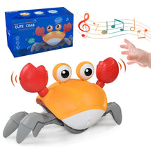 Caranguejo Fujão Música e Som Divertido