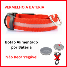Coleira luminosa para animais de estimação