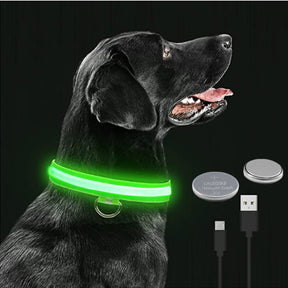 Coleira luminosa para animais de estimação